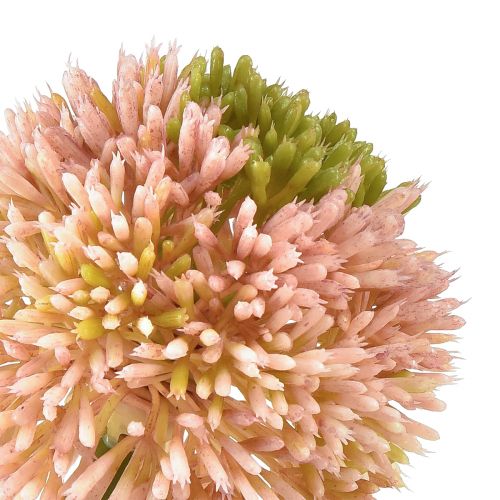 Artikel Konstgjord allium prydnadsvitlök rosa grön Ø10cm L65cm