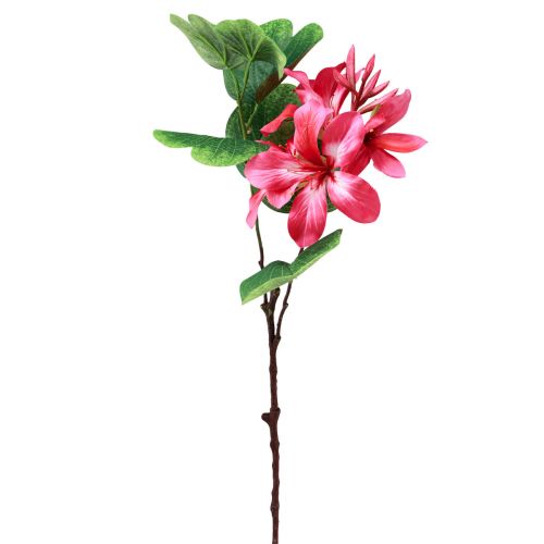 Floristik24 Konstgjord orkidégren Bauhinia Rosa konstgjord växt 62cm