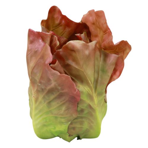 Floristik24 Konstgjord salladshuvudmat dummy dekorativa grönsaker 14cm