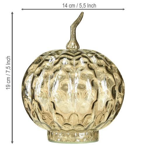Artikel Pumpadekoration i glas pumpadekoration i glas höst Ø14cm H19cm