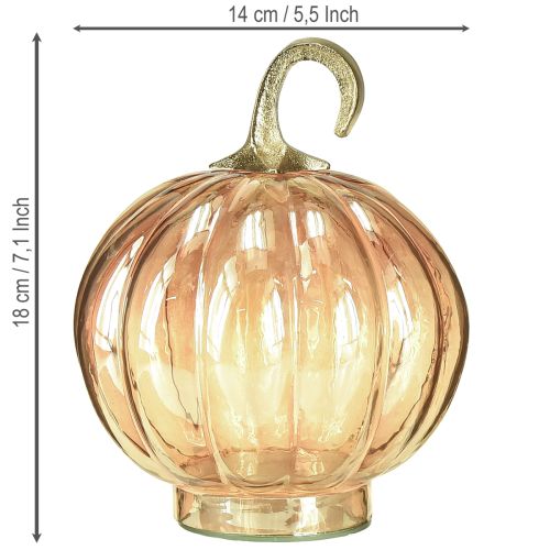 Artikel Pumpadekoration i glas, pumpadekoration i glas, orange Ø14cm H18cm