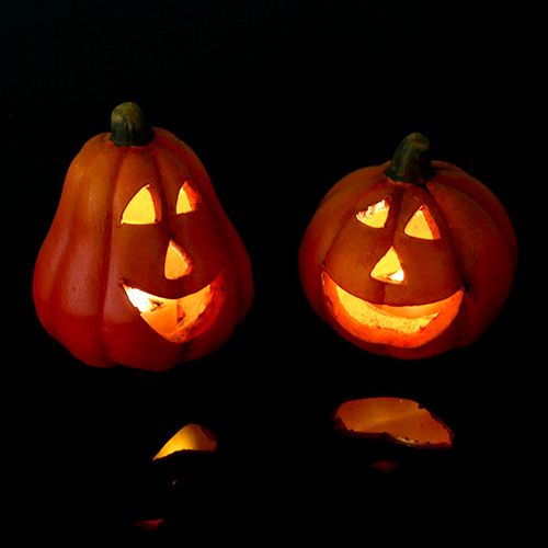 Floristik24 Pumpa lykta mix 6cm - 8cm med LED 6st