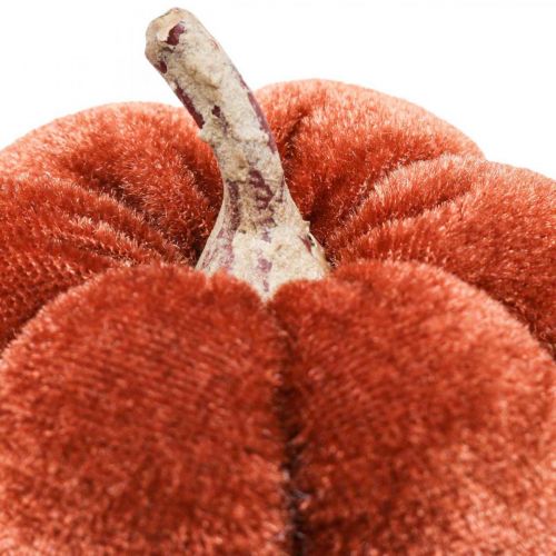 Artikel Deco pumpa dekorationsplugg orange, brun mjuk Ø6,5m 9 st