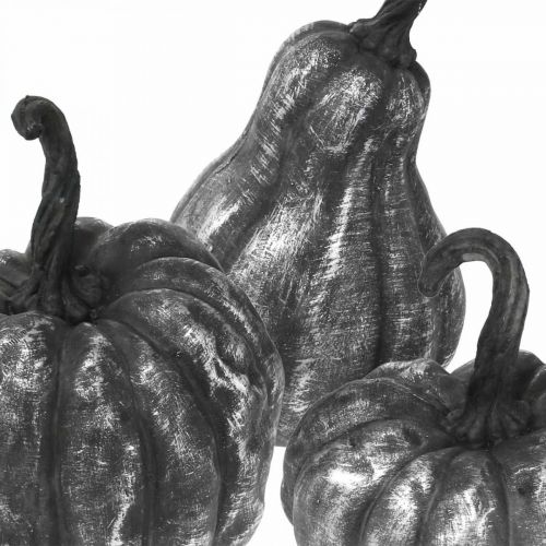 Floristik24 Dekorativ pumpa Silver, Svart Assorterad H10,5/14,5/17,5 cm 3st