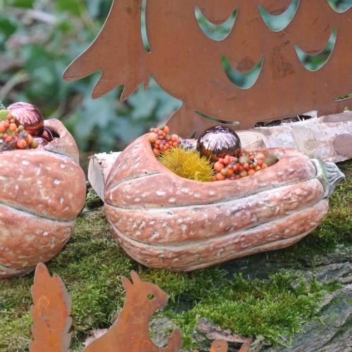Floristik24 Pumpa för plantering av apelsin 28 × 15 × 14cm