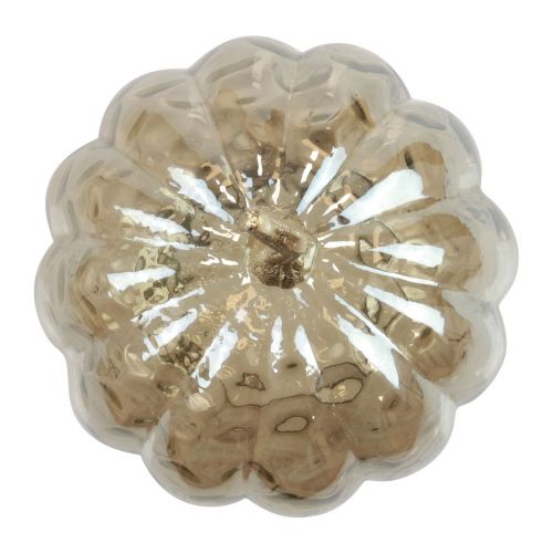 Artikel Pumpa dekoration glas glas pumpa bordsdekoration höst Ø14cm H19cm