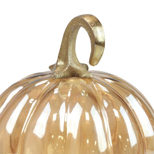 Artikel Pumpa dekoration glas glas pumpa bordsdekoration orange Ø14cm H18cm