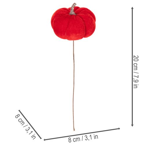 Dekorativ pumpa på tråd, höstdekoration, sammet, trefärgat set, 8 cm, 9 delar | Floristik24.se