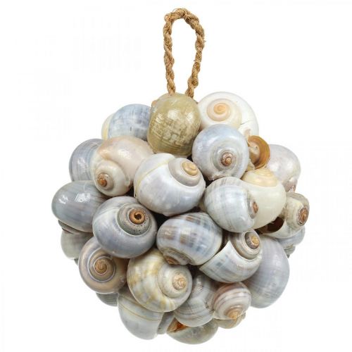 Floristik24 Maritim dekoration boll havssnigel skal boll naturlig dekoration Ø12cm