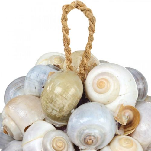 Floristik24 Maritim dekoration boll havssnigel skal boll naturlig dekoration Ø12cm