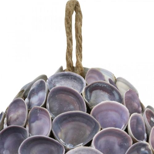 Artikel Skalkula Maritim dekoration med snäckor Decokula violett Ø12cm