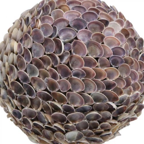 Artikel Deco bollskal skalboll stor Maritim dekoration Ø25cm