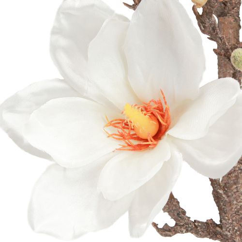 Artikel Konstgjorda blomma Magnolia grenblommor Ø2–10cm Kräm L105cm