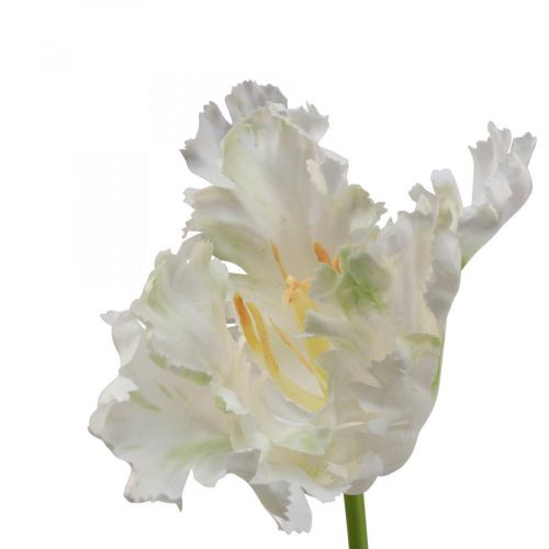Floristik24 Konstgjord blomma, papegojtulpan vit grön, vårblomma 69cm