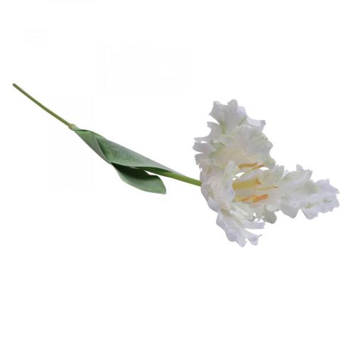 Floristik24 Konstgjord blomma, papegojtulpan vit grön, vårblomma 69cm