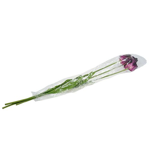 Floristik24 Konstgjorda blommor tulpan lila-grön 84 cm - 85 cm 3 st