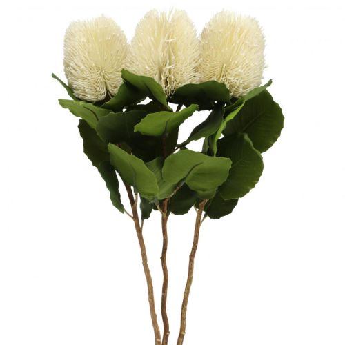 Artikel Konstgjorda blommor, Banksia, Proteaceae Krämvit L58cm H6cm 3st