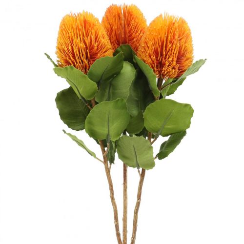 Floristik24 Konstgjorda blommor, Banksia, Proteaceae Orange L58cm H6cm 3 st