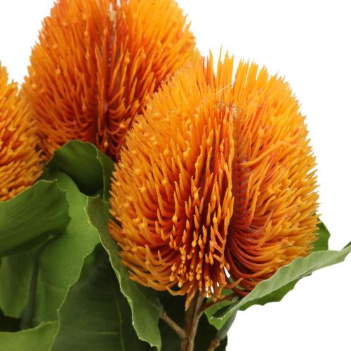 Floristik24 Konstgjorda blommor, Banksia, Proteaceae Orange L58cm H6cm 3 st