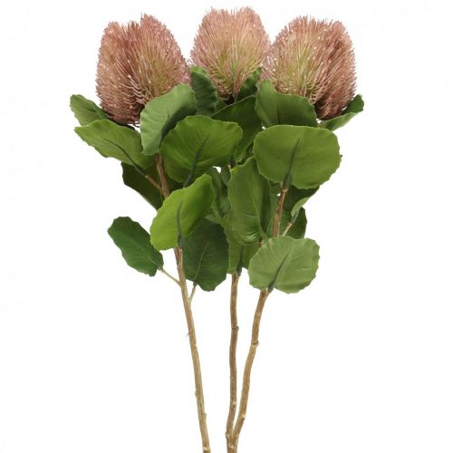 Artikel Konstgjorda blommor, Banksia, Proteaceae Vit-Lila L58cm H6cm