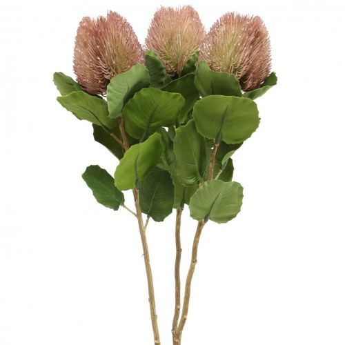 Floristik24 Konstgjord Banksia Proteaceae Vit-Lila L58cm H6cm 3st