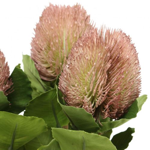 Floristik24 Konstgjord Banksia Proteaceae Vit-Lila L58cm H6cm 3st