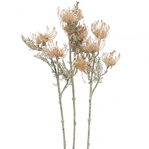 Floristik24 Konstgjorda blommor, Nålkuddeblomma, Leucospermum, Proteaceae Tvättad Vit L58cm 3st