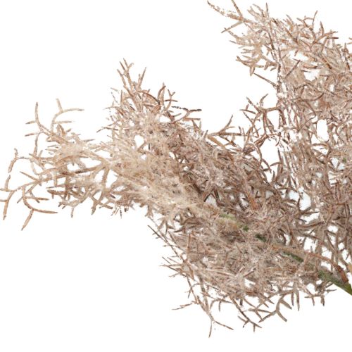 Floristik24 Konstgjorda blommor dekoration, korallgren, dekorativa grenar vit brun 40cm 4 stycken