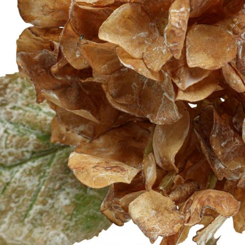 Artikel Konstgjord hortensia torkad Drylook höstdekoration L33cm
