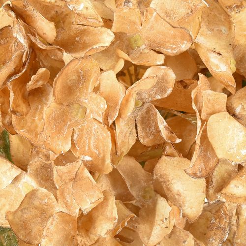 Artikel Konstgjord hortensia torkad Drylook höstdekoration L33cm
