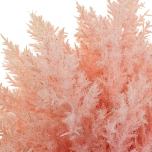 Artikel Konstgjord växt Astilbe Dekorationsgrenar Konstgjord Rosa H38cm 5 st