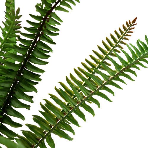 Floristik24 Konstgjord ormbunke mörkgrön 45cm