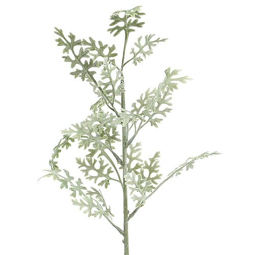 Floristik24 Konstgjorda växter silverblad vitgrön 40cm 6st