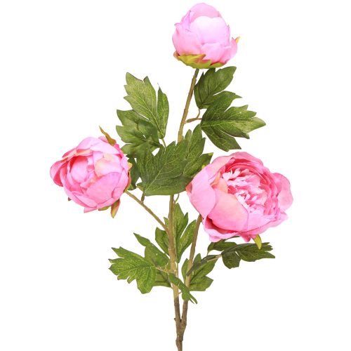Floristik24 Konstgjorda Rosor Pioner Konstgjord i Rosa L80cm 2st