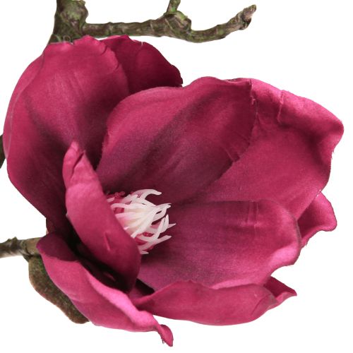 Artikel Artificiell Magnolia-gren Konstgjorda blommor Bordeaux L100cm