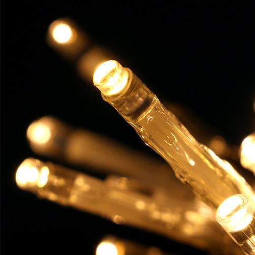 Floristik24 LED-fairy lampor 10 bitar 1,3 m varmvit, batteridriven