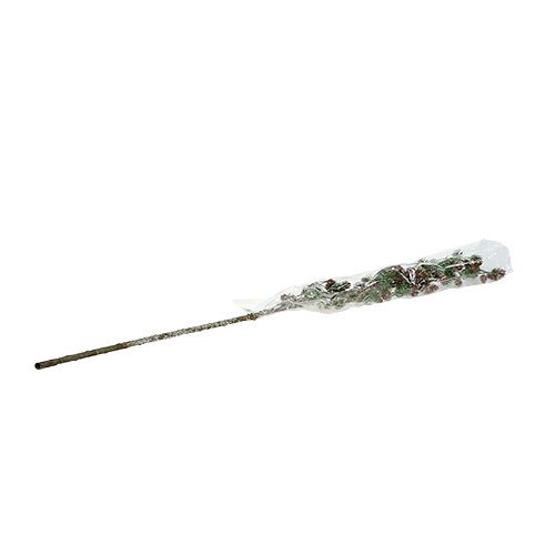 Floristik24 Larkgren med kottar, snötäckt 92cm