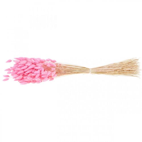 Artikel Lagurus Torkad Kanin Svans Gräs Rosa 65-70cm 100g