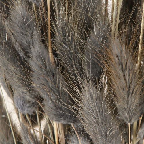 Artikel Lagurus Torkad Hare&#39;s Tail Gräs Grå 45-55cm 50g
