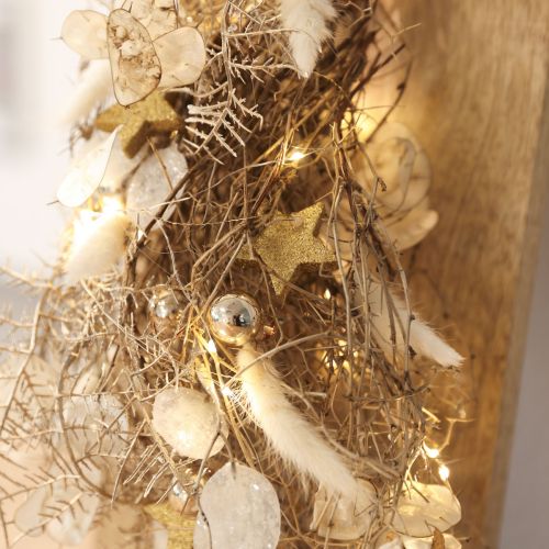Torkade blommor Lagurus Natural – fluffigt kaninstjärtgräs i gräddvit 55-70 cm 100 g | Floristik24.se