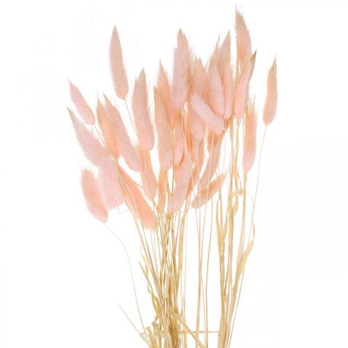 Floristik24 Dekorativt gräsrosa, Lagurus, naturdekoration, torrflorister L45–50cm 30 st.