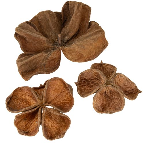 Landlotus Natur 50 st