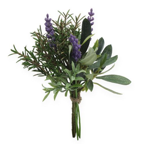 Floristik24 Lavendel-rosmarin gäng 20 cm