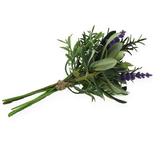 Floristik24 Lavendel-rosmarin gäng 20 cm