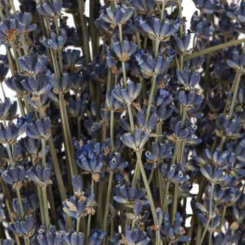 Artikel Lavendel Torkade Blommor Dekoration Naturlig 100g 40cm 100g × 2st