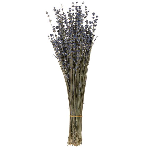 Floristik24 Lavendel Torkade Blommor Dekoration Naturlig 100g 40cm 100g × 2st