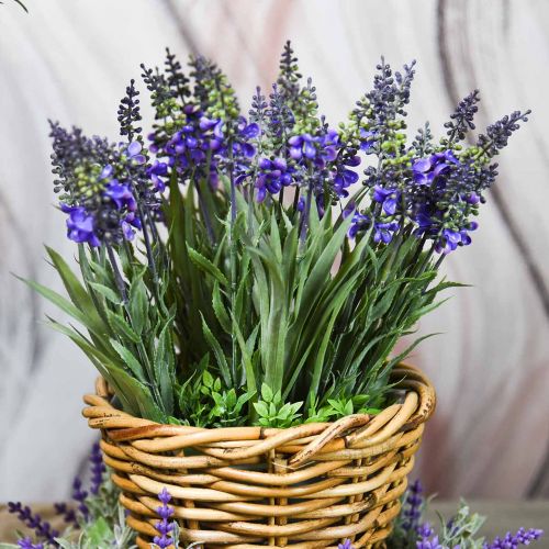Floristik24 Konstgjord lavendelklas med gräs 32cm