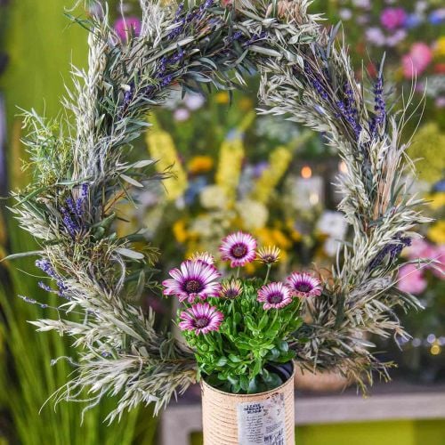 Torkad lavendel Gäng torra blommor H30-35cm