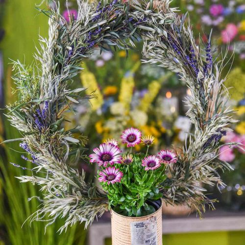 Artikel Torkad lavendelklas torkad blomma blå 25cm 75g