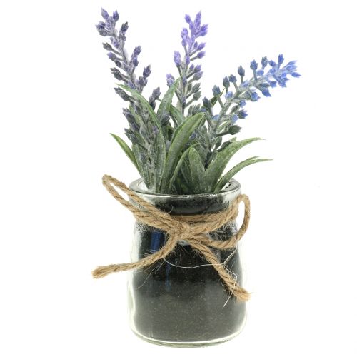 Floristik24 Lavendel i burk H15cm